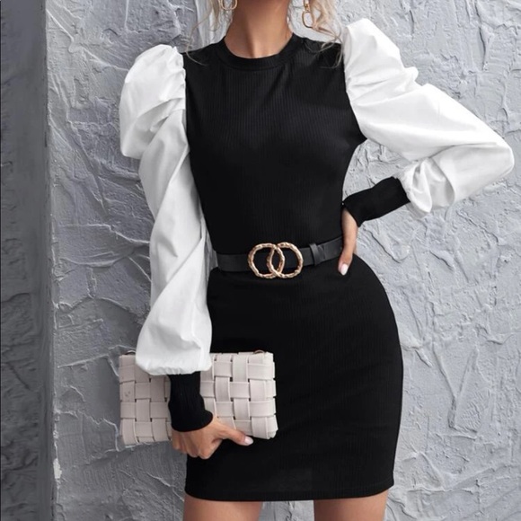 Avery Reigns Dresses & Skirts - Colorblock Lantern Sleeve Rib-knit Dress